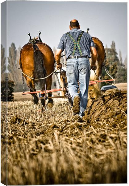 The Plough Canvas Print by tony golding