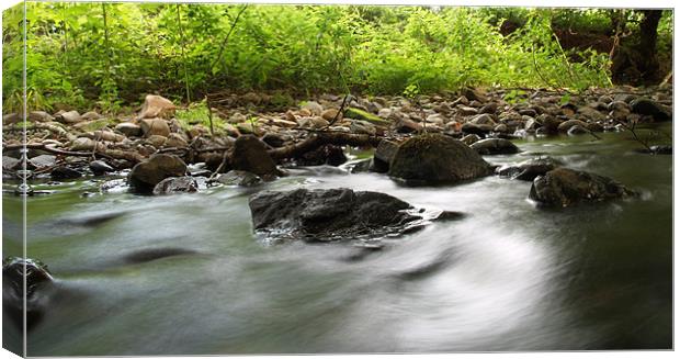 River Flow Canvas Print by William Coulthard
