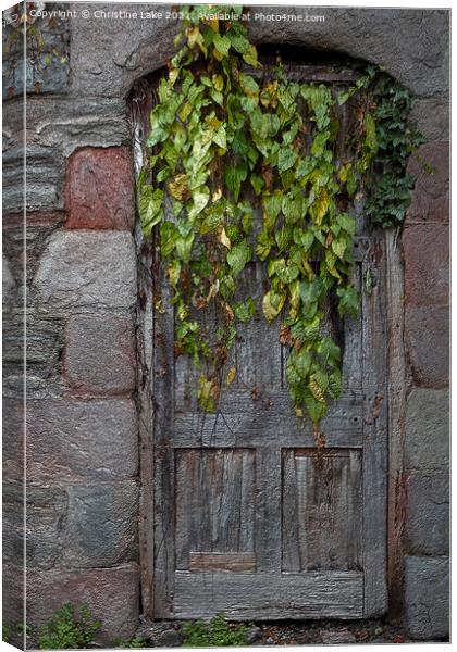 Door With Ivy Canvas Print by Christine Lake
