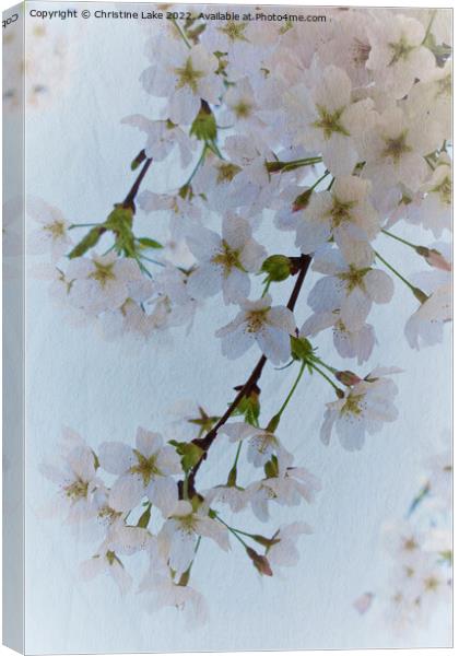 The Beauty Of Spring Canvas Print by Christine Lake