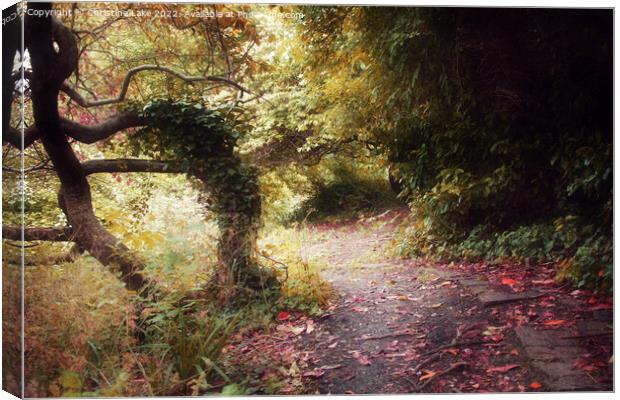 The Woodland Path 3 Canvas Print by Christine Lake