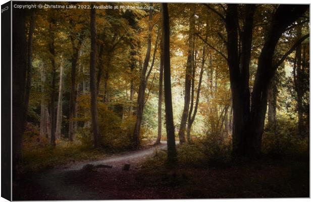 Path To Sunlight Canvas Print by Christine Lake