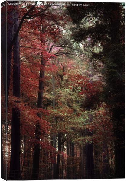 Walking In To Autumn Canvas Print by Christine Lake