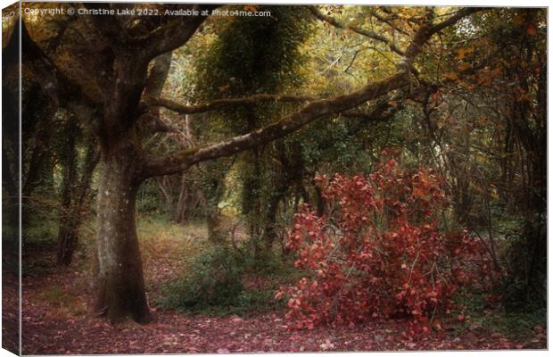 Autumn Colours Canvas Print by Christine Lake