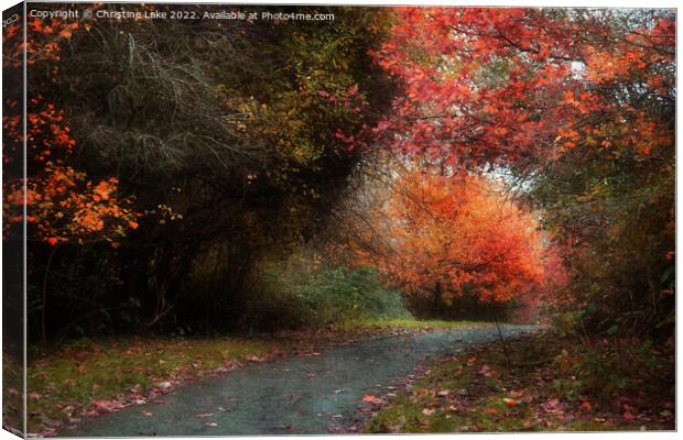 The Last Of Autumn Canvas Print by Christine Lake