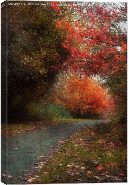The Last Of Autumn 2 Canvas Print by Christine Lake