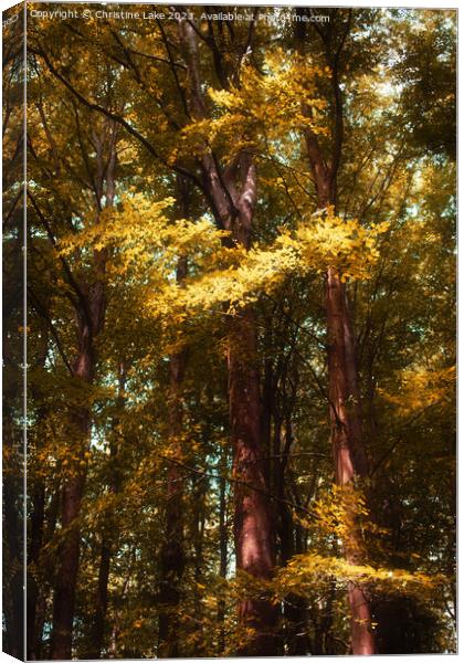 Leaves Of Gold Canvas Print by Christine Lake