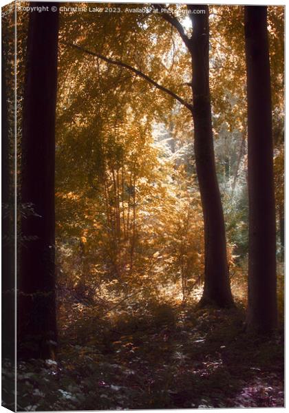 The Edge Of Autumn Canvas Print by Christine Lake