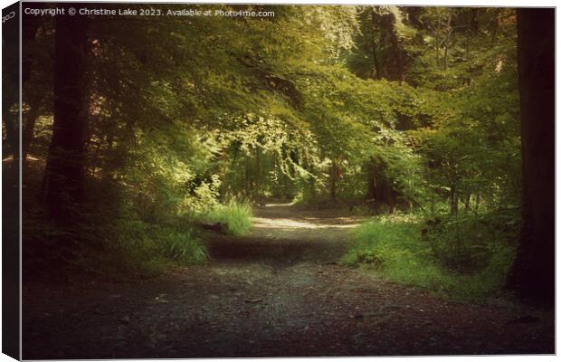 Peace And Beauty Canvas Print by Christine Lake