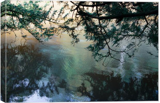 Watery Reflections Canvas Print by Christine Lake