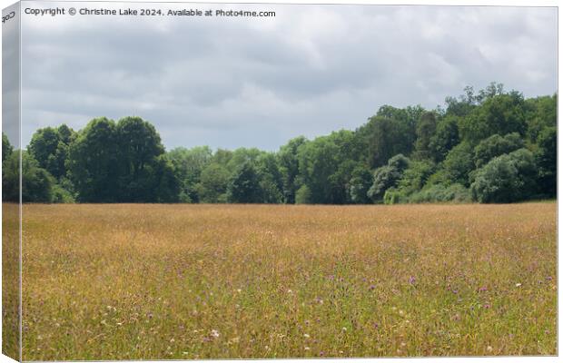 Middle Of Nowhere Canvas Print by Christine Lake