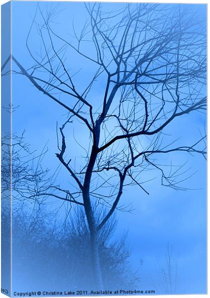 A shade of Blue Canvas Print by Christine Lake