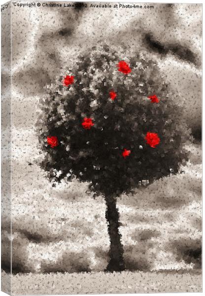 Rose Tree Canvas Print by Christine Lake