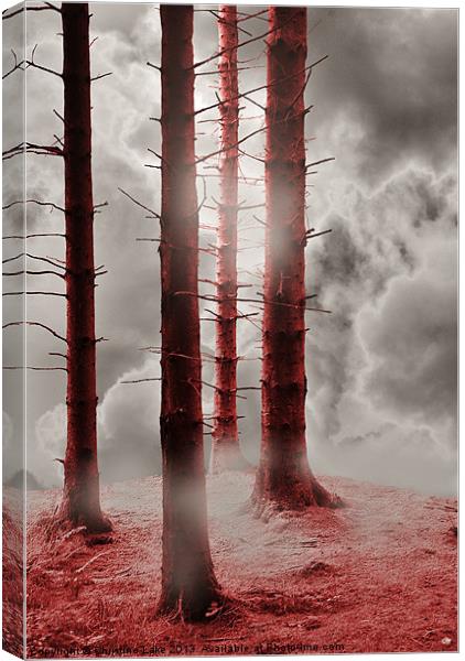Forest Trees in Red Canvas Print by Christine Lake