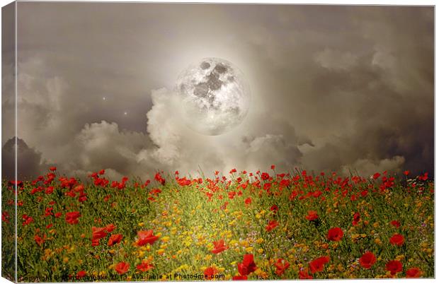 Poppies By Moonlight Canvas Print by Christine Lake