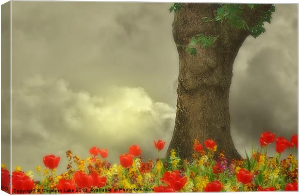 A Storm in Summer Canvas Print by Christine Lake