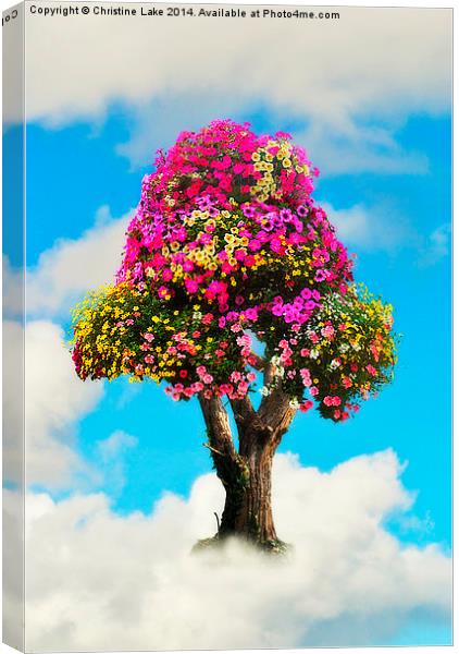 The Summer Tree Canvas Print by Christine Lake