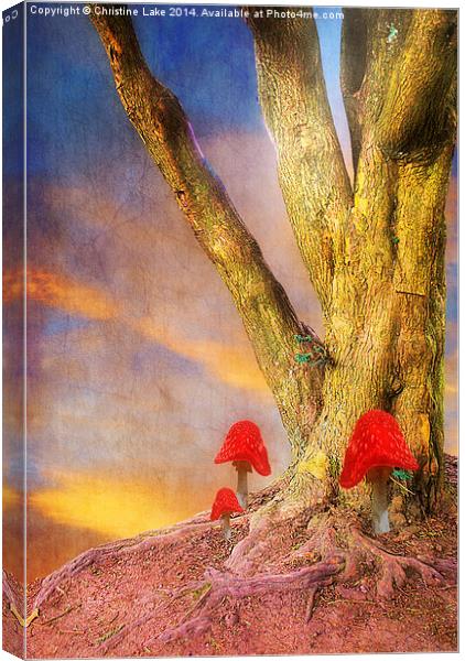 A Magical Mood Canvas Print by Christine Lake
