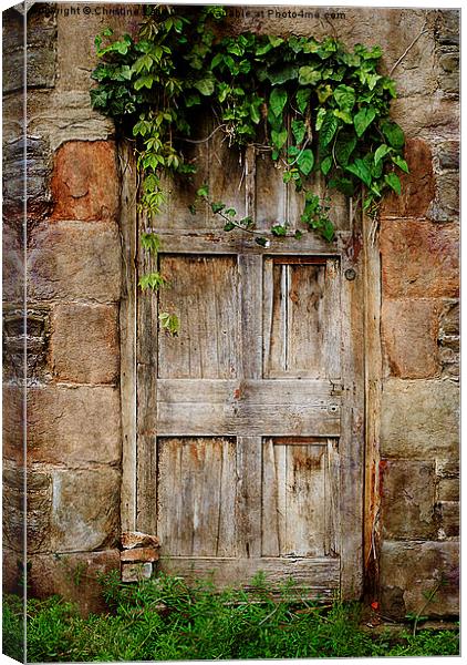 Old Door Canvas Print by Christine Lake