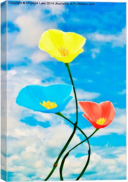 Paintbox Flowers Canvas Print by Christine Lake
