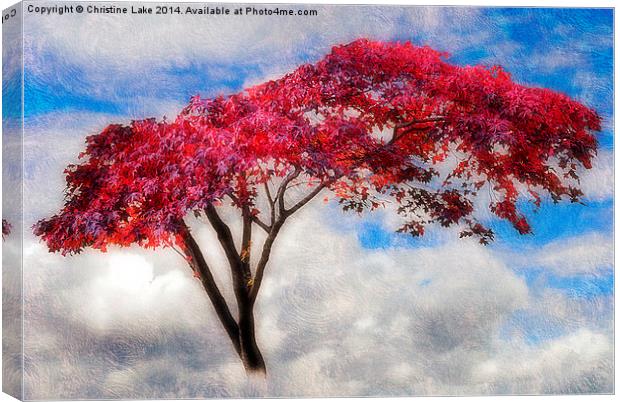  Red Tree in Summer Canvas Print by Christine Lake