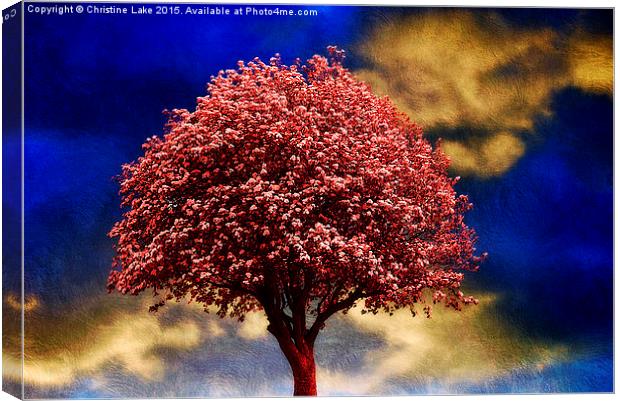  Tree In Red Canvas Print by Christine Lake
