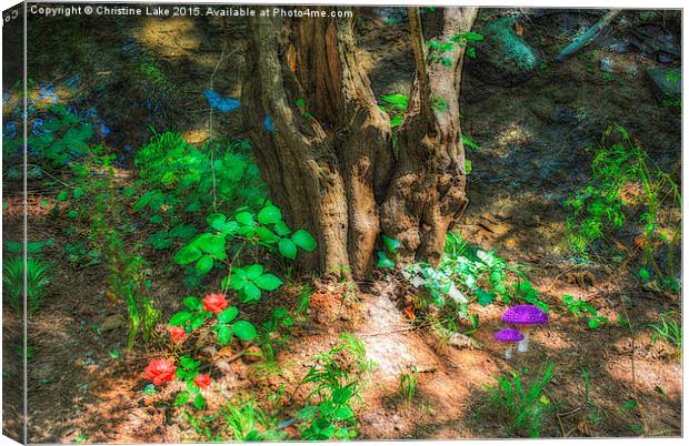  Enchantment Canvas Print by Christine Lake