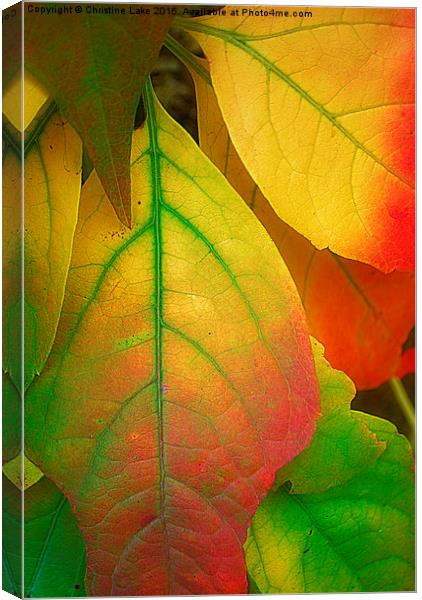  A Song For Autumn Canvas Print by Christine Lake