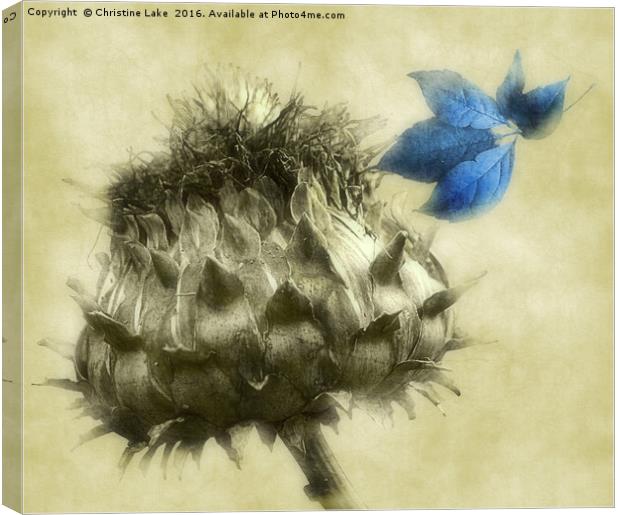 A Blue Melody Canvas Print by Christine Lake