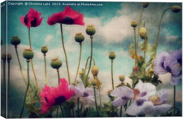 Poppies In The Countryside Canvas Print by Christine Lake