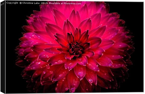 Sparkling Red Canvas Print by Christine Lake