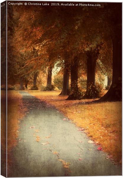 Walking Through Autumn Canvas Print by Christine Lake