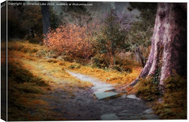 Autumn Walk Canvas Print by Christine Lake