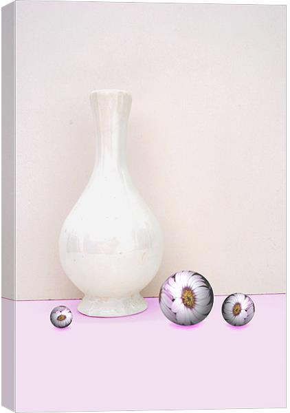 Flower Spheres and Vase Canvas Print by Christine Lake