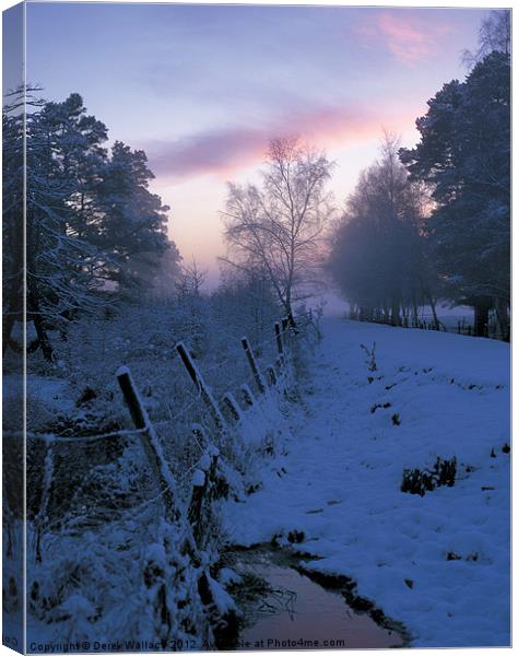 Misty Morning Canvas Print by Derek Wallace