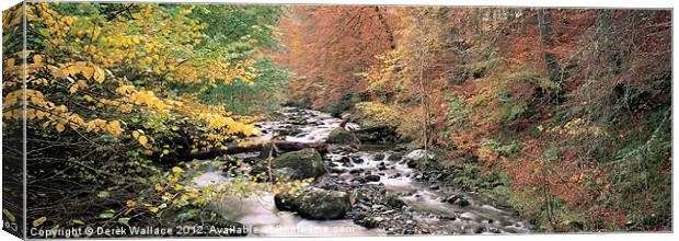 Autumn in Perthshire Canvas Print by Derek Wallace