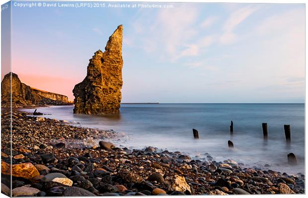 Liddle Stack - Chemical Beach, Seaham Canvas Print by David Lewins (LRPS)