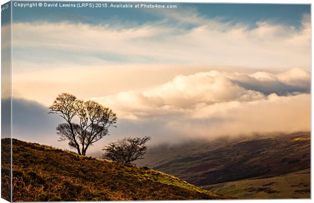 Cloud Covered Cheviot Canvas Print by David Lewins (LRPS)