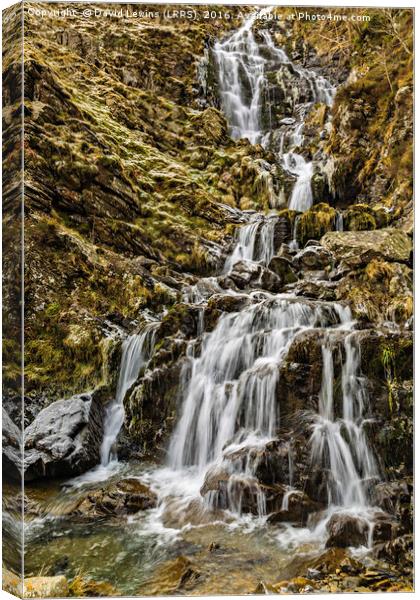 Cautley Spout Canvas Print by David Lewins (LRPS)