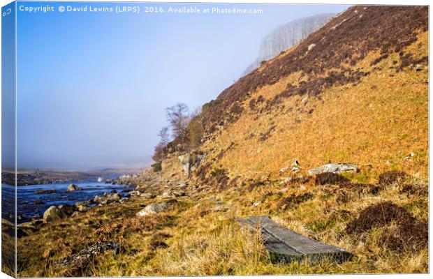 Falcon Clints Canvas Print by David Lewins (LRPS)