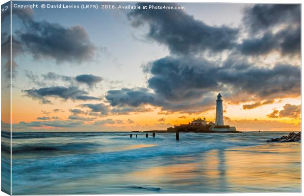St Mary's Lighthouse Canvas Print by David Lewins (LRPS)