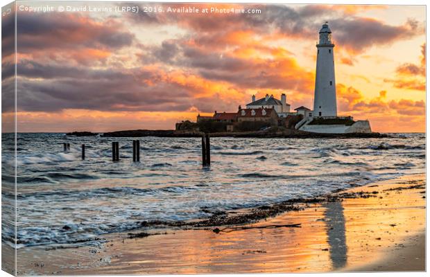 St Mary's Lighthouse Canvas Print by David Lewins (LRPS)
