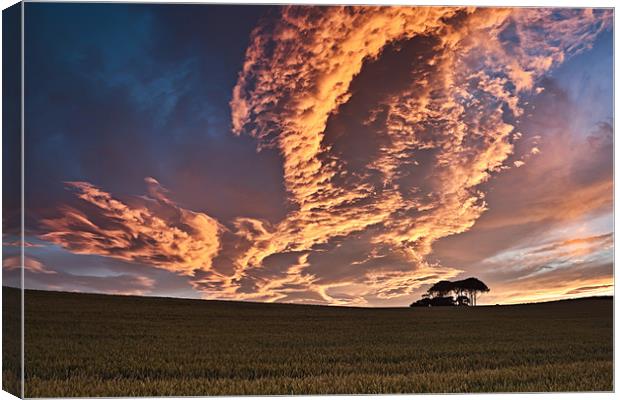 Cornfield Sunset Canvas Print by David Lewins (LRPS)