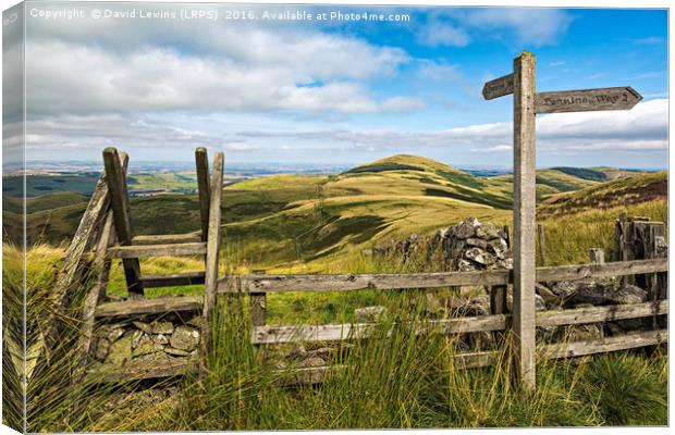 The Pennine Way Canvas Print by David Lewins (LRPS)