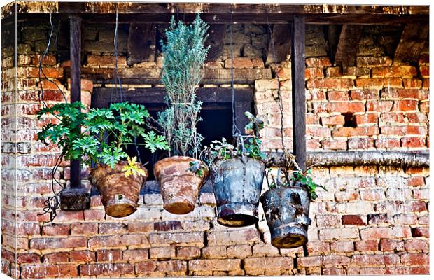 Hanging Gardens - Nepal Canvas Print by David Lewins (LRPS)