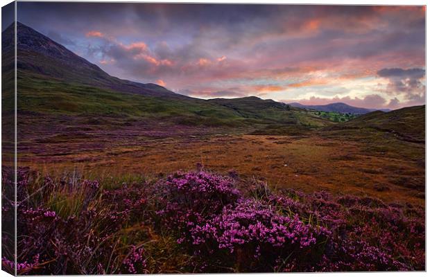 Morning Light - Isle of Skye, Cuillin Hills Canvas Print by David Lewins (LRPS)