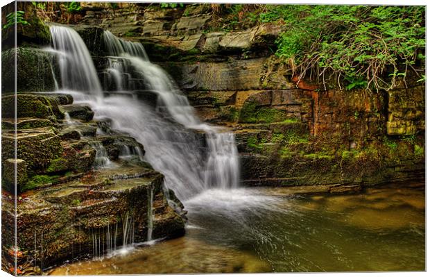 Ashgill Waterfalls - Alston, Upper Teesdale Valley Canvas Print by David Lewins (LRPS)