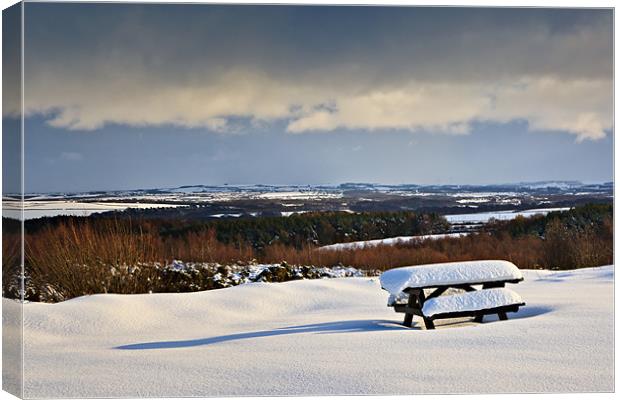 Winter Picnic Canvas Print by David Lewins (LRPS)