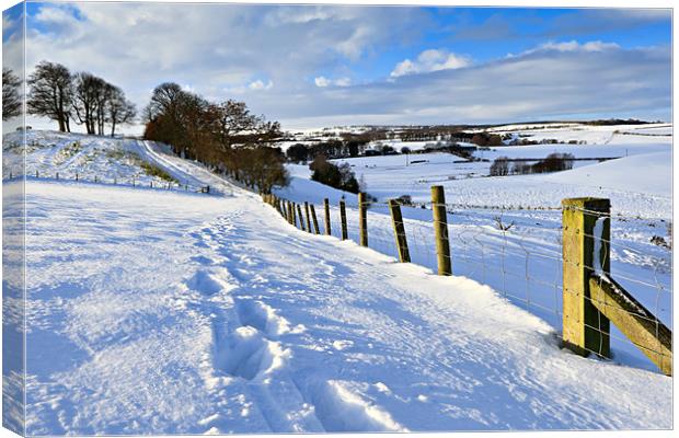 Winter Fields - County Durham Canvas Print by David Lewins (LRPS)