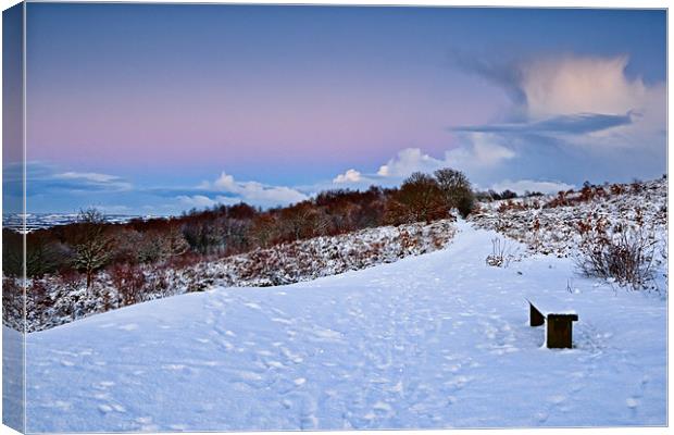 Winter Storm Clouds - Waldridge Fell Country Park Canvas Print by David Lewins (LRPS)